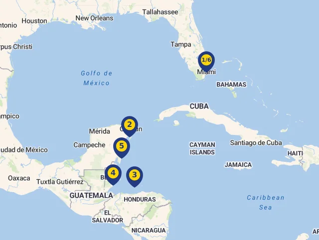 Térkép
